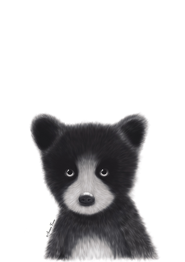 Web.68. Animales del bosque. Osezno