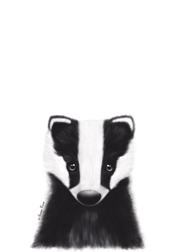 Web.69. Animales del bosque. Tejón